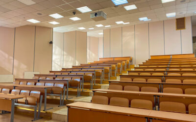 Website Accessibility in Top U.S. Schools of Social Work: Bridging the Digital Divide